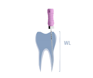 CC one plus assort recipracating